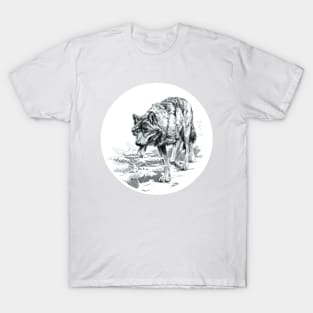 Hunting wolf T-Shirt